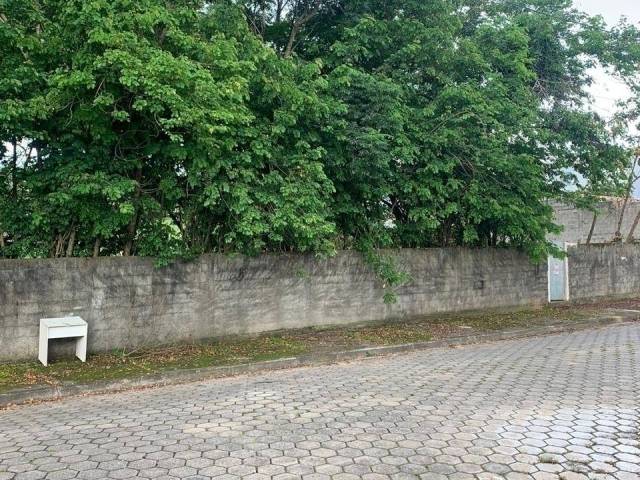 Área para Venda em Cachoeira Paulista - 4